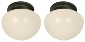 224 Twin Pack Flush Mount  Light in Black