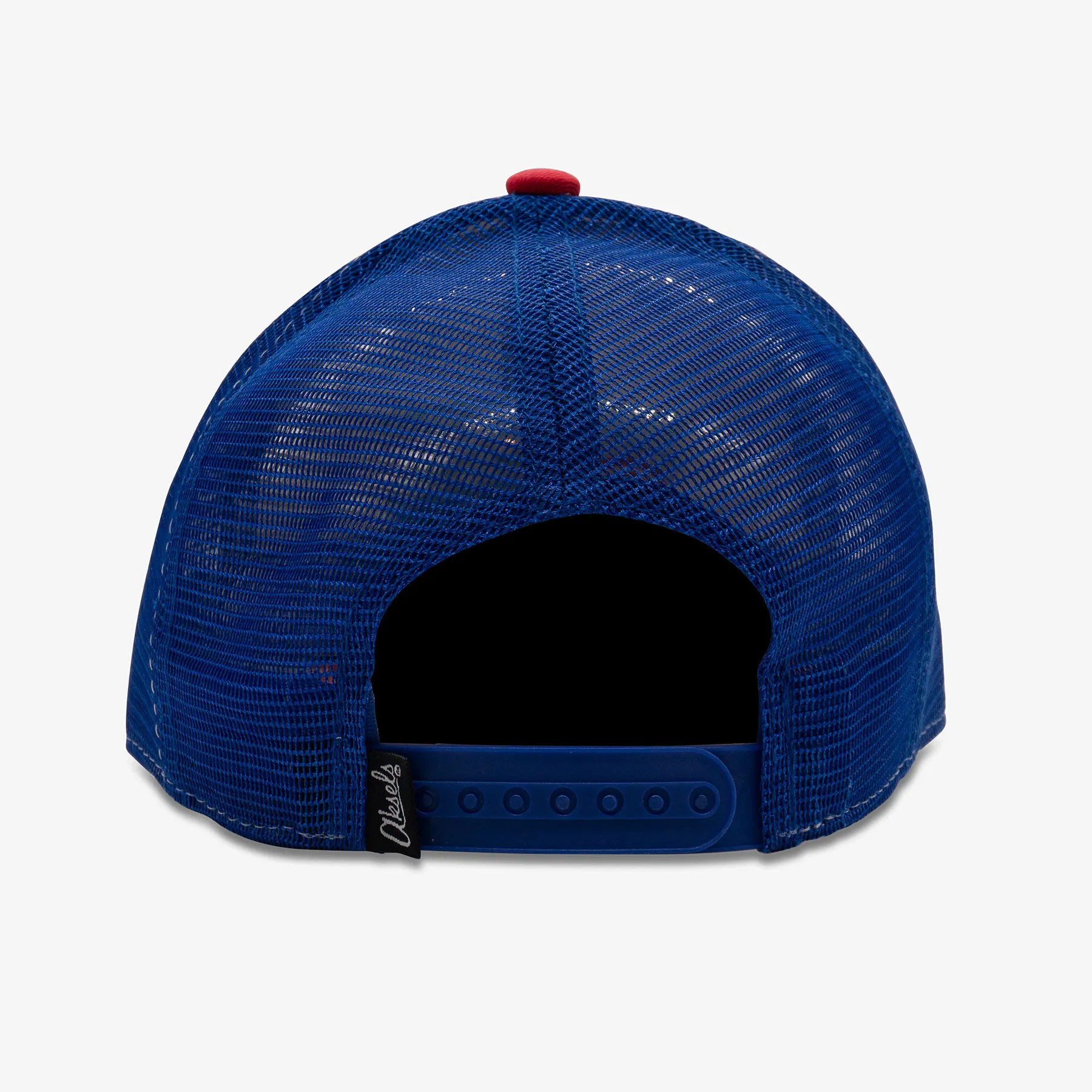 Low Pro Colorado Scape Snapback Hat