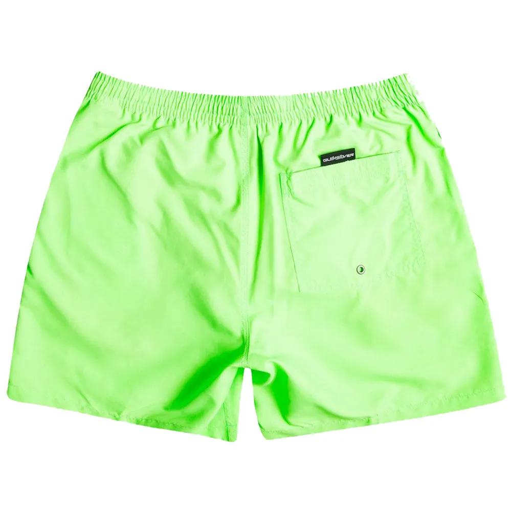 Quiksilver Everyday 17" Volley Swim Shorts