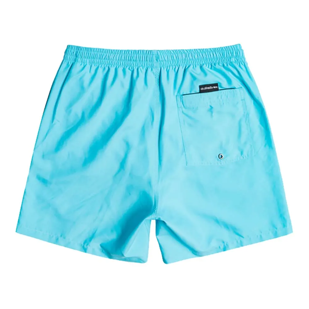 Quiksilver Everyday 17" Volley Swim Shorts