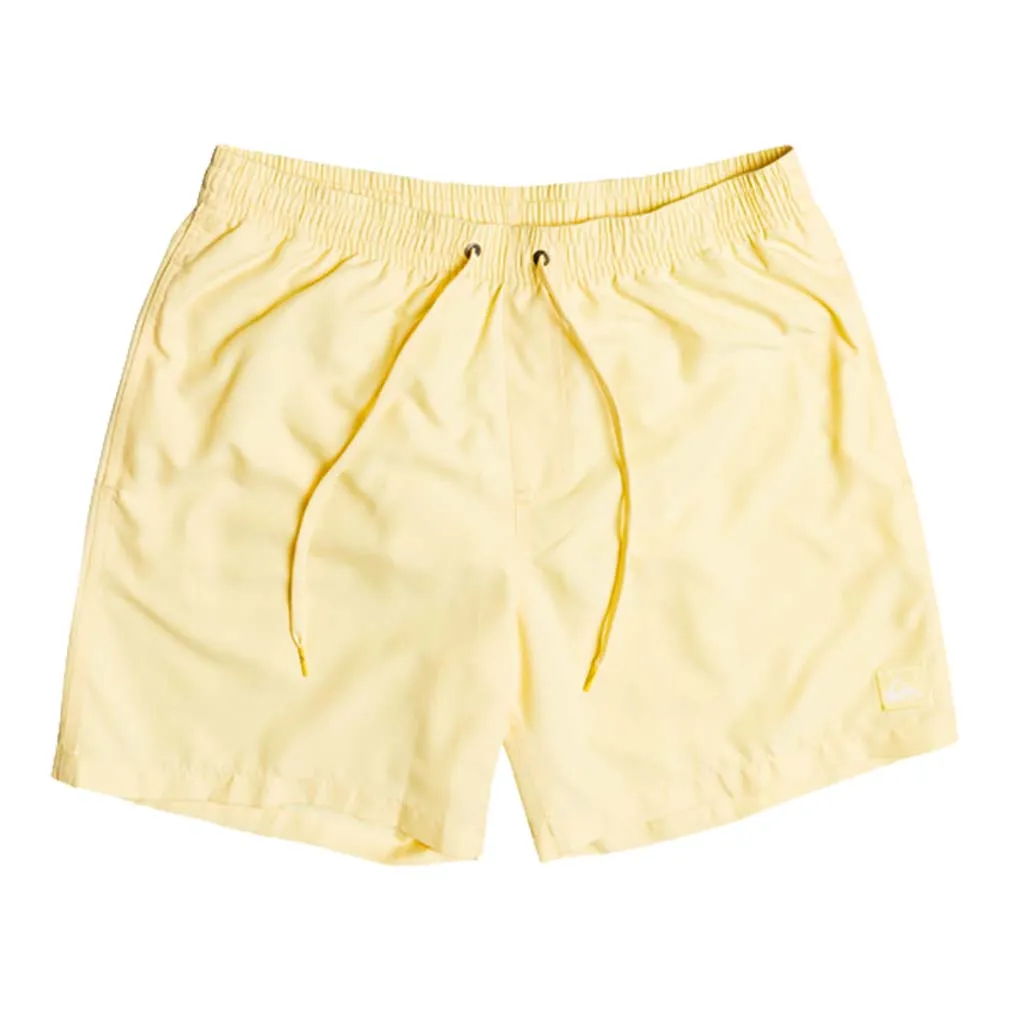 Quiksilver Everyday 17" Volley Swim Shorts